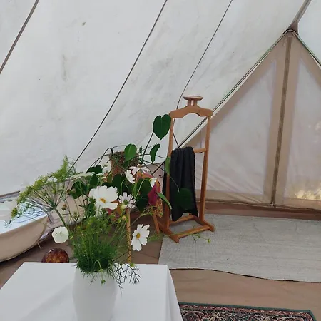 Glamping Belltent In Lyxtält